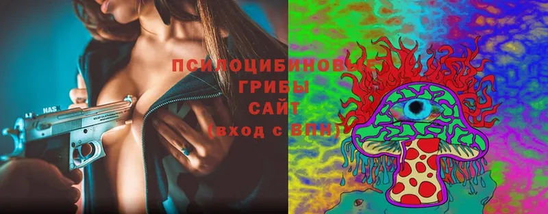 Псилоцибиновые грибы Psilocybe  купить  цена  МЕГА как войти  Белая Калитва 